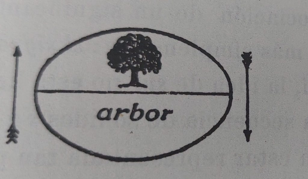  Representación del signo lingüístico tomado del Curso de lingüística general de Saussure